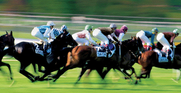 Discover Horse Racing