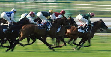 Discover Horse Racing for Two
