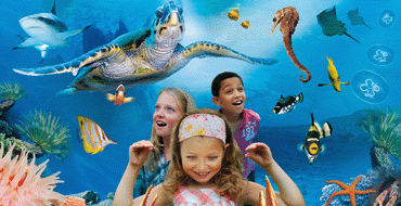 Sea Life Centre admission for Two Adults