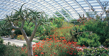 National Botanic Garden of Wales Visit for Two